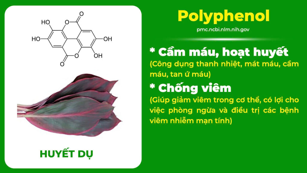 Thành phần hoá học điều kinh