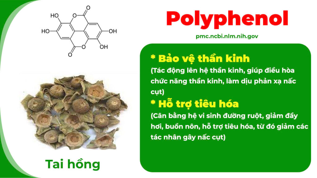 Thành phần hoá học đinh hương tai hồng 