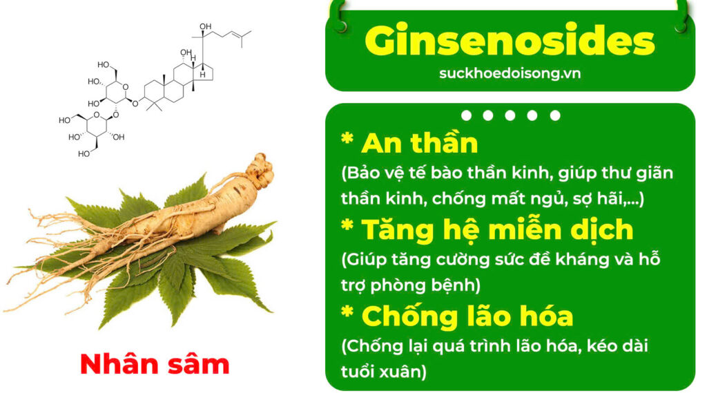 Thành phần hoá học định tâm 