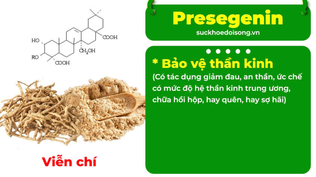 Thành phần hoá học định tâm 