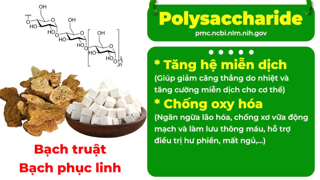 Thành phần hoá học định tâm 