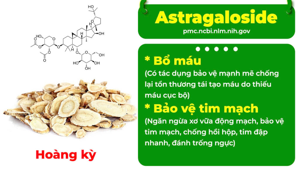 Thành phần hoá học định tâm 