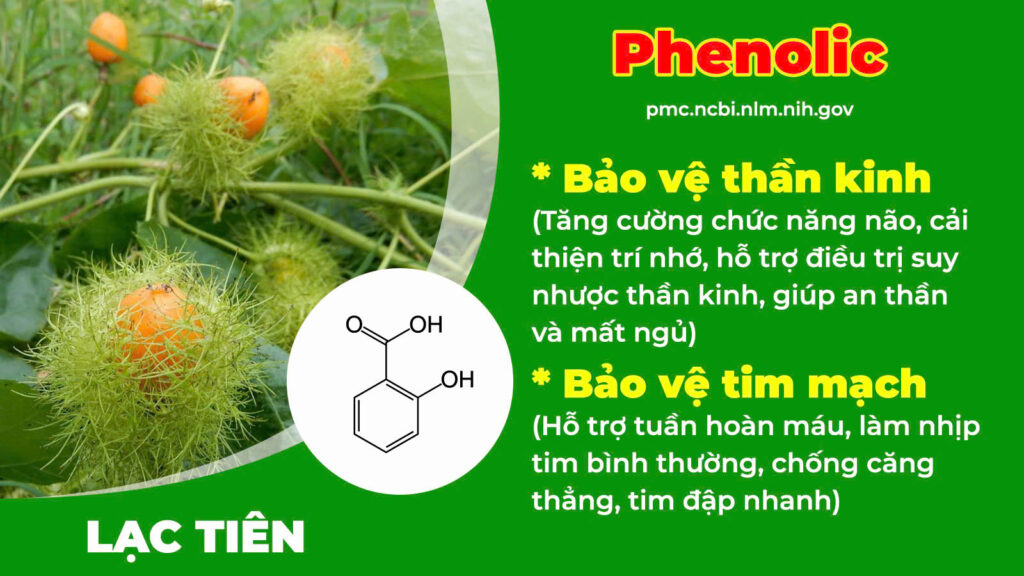 Thành phần hoá học dưỡng tâm an thần 