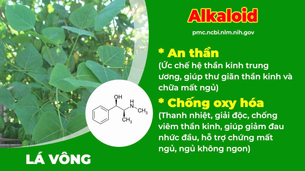 Thành phần hoá học dưỡng tâm an thần 