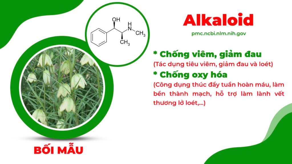 Thành phần hoá học hoàng ngân kiều 