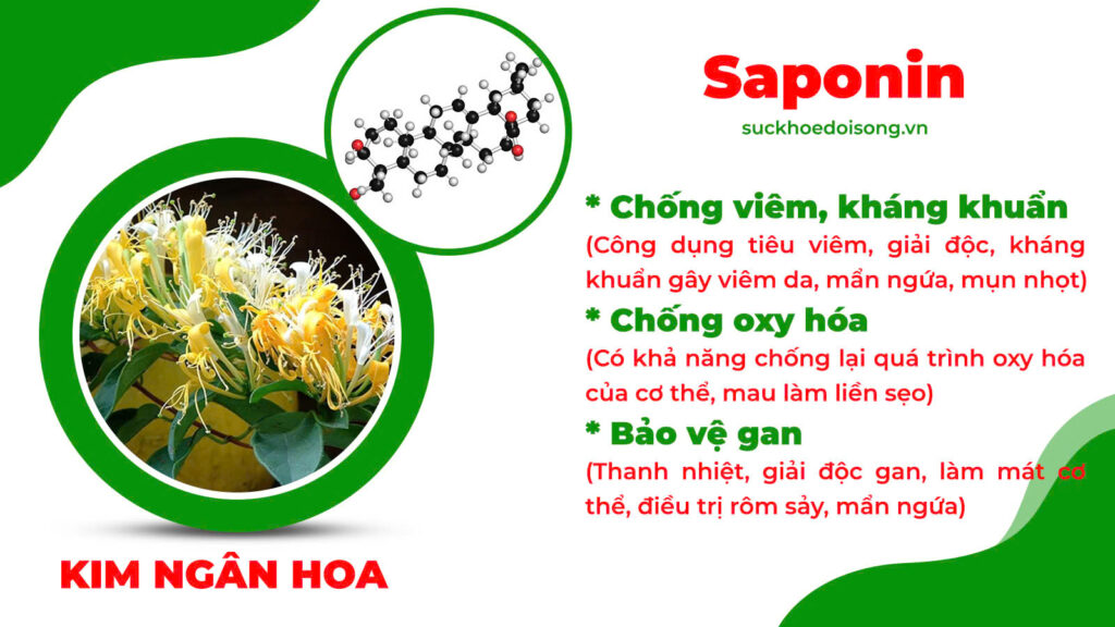 Thành phần hoá học hoàng ngân kiều 