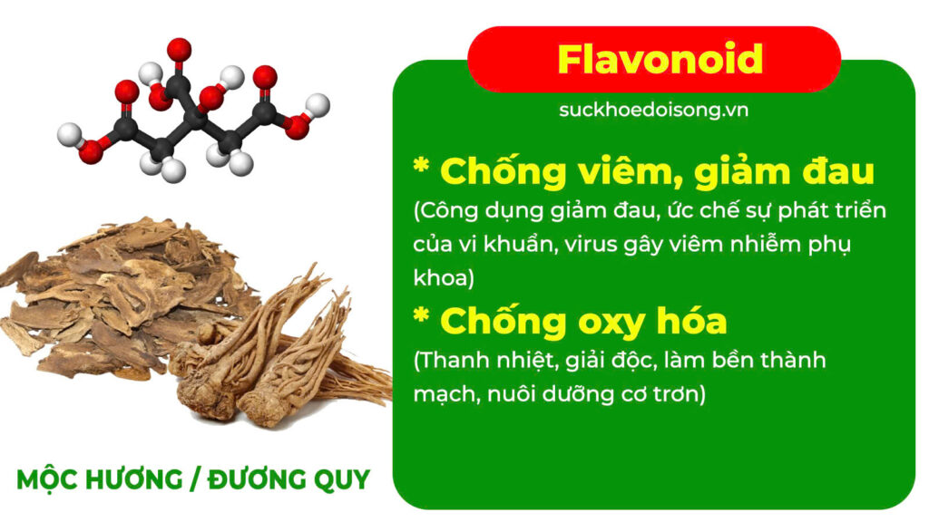 Thành phần hoá học ích mẫu