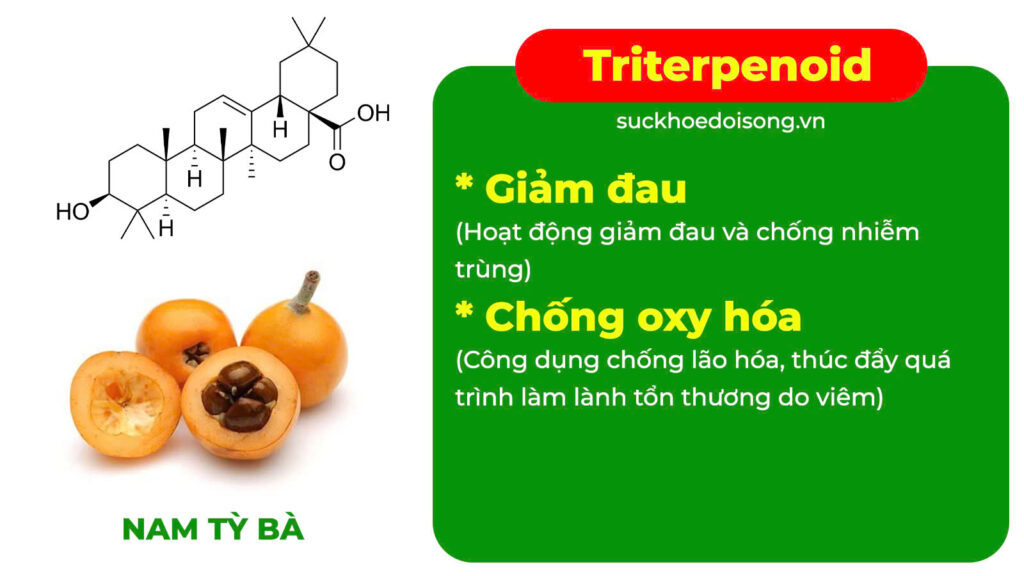 Thành phần hoá học ích mẫu