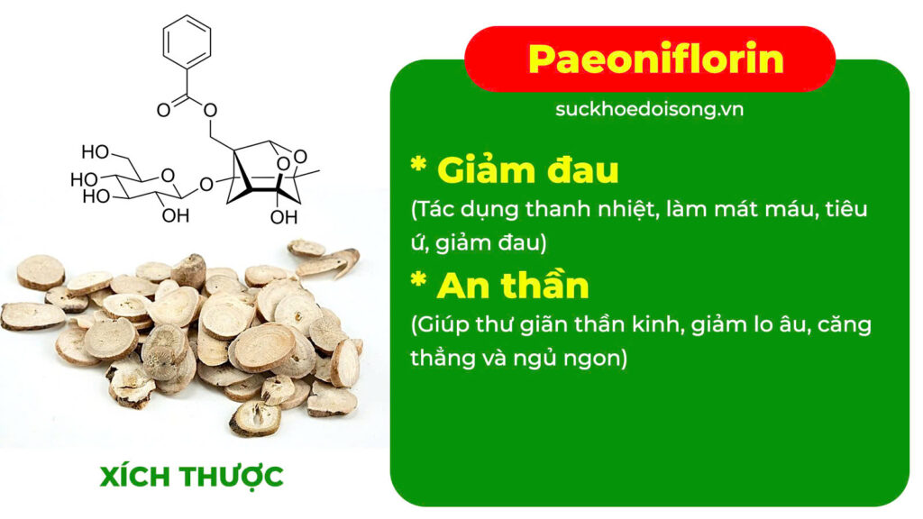Thành phần hoá học ích mẫu