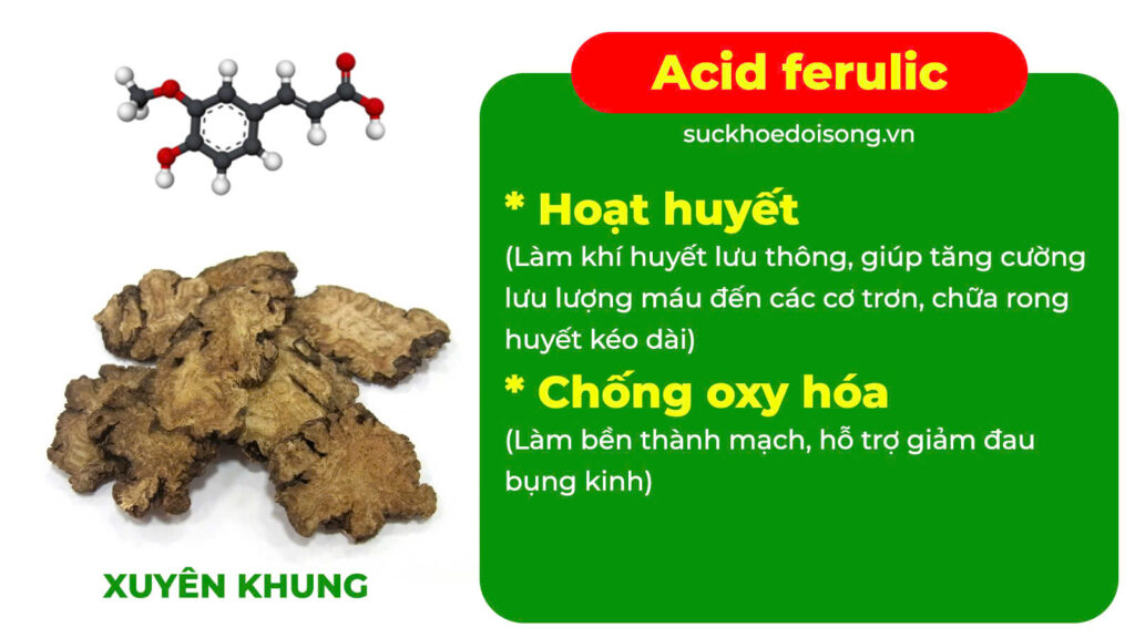 Thành phần hoá học ích mẫu