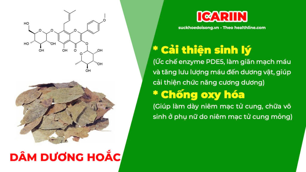 Thành phần hoá học mật nhân