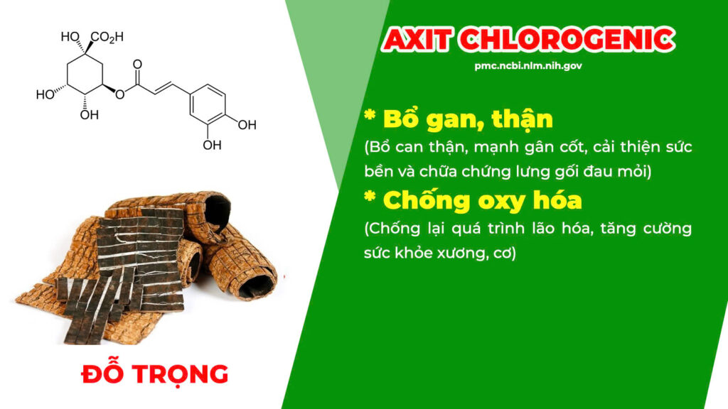 Thành phần hoá học mật nhân