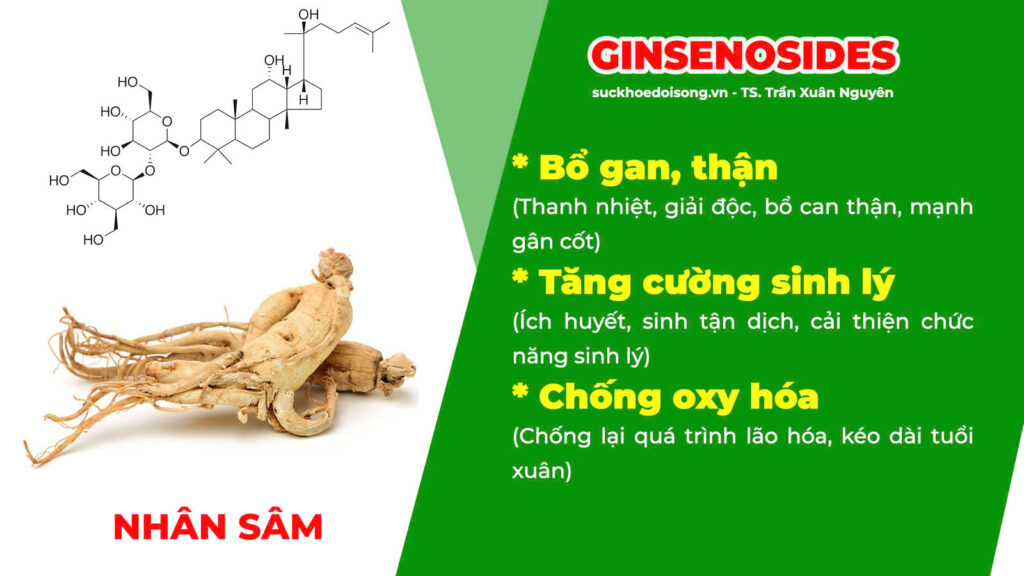 Thành phần hoá học mật nhân