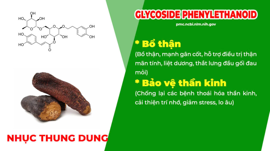 Thành phần hoá học mật nhân