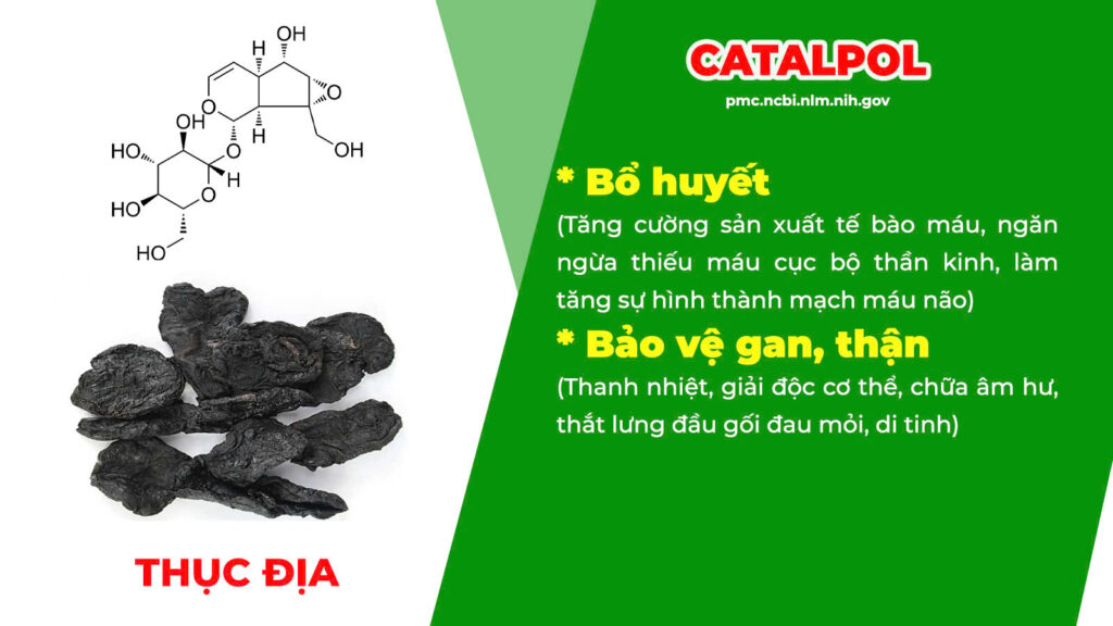 Thành phần hoá học mật nhân