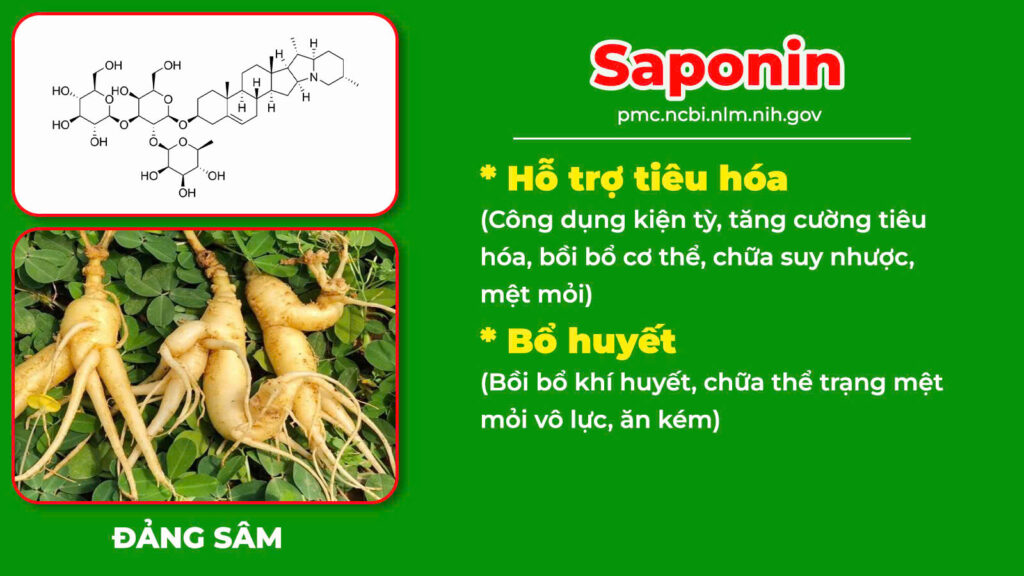 Thành phần hoá học suy dinh dưỡng 