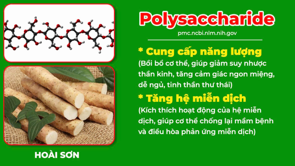 Thành phần hoá học suy dinh dưỡng 