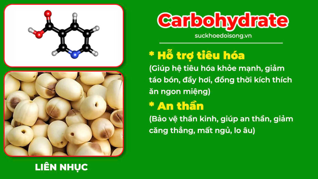 Thành phần hoá học suy dinh dưỡng 