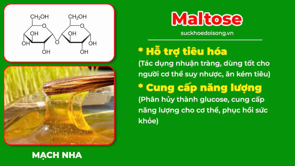 Thành phần hoá học suy dinh dưỡng 