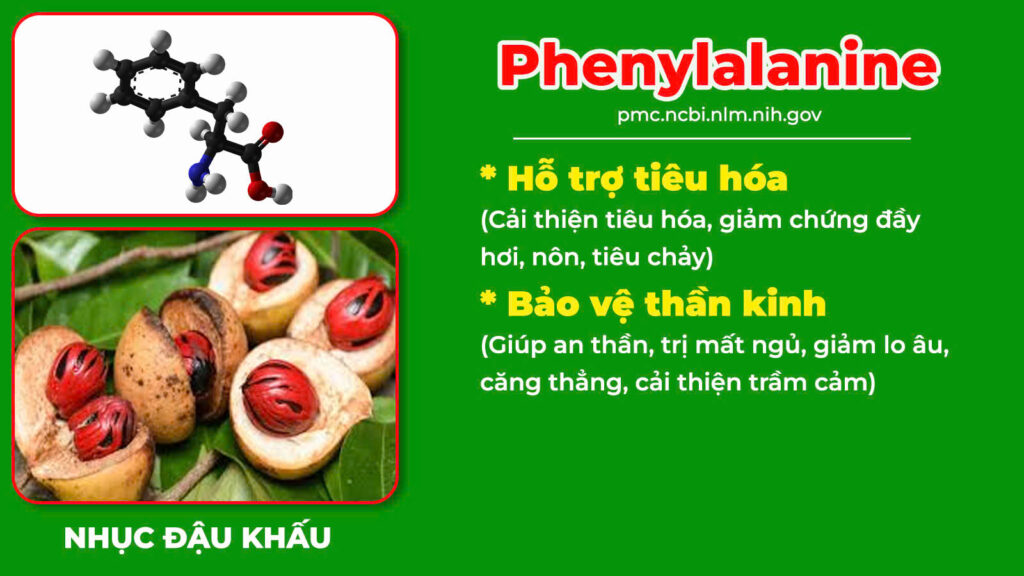 Thành phần hoá học suy dinh dưỡng 