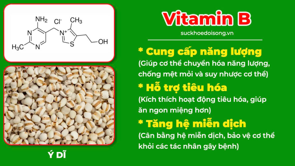 Thành phần hoá học suy dinh dưỡng 