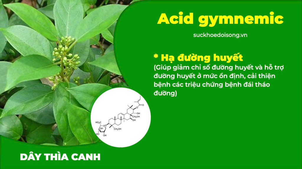 Thành phần hoá học thanh đường 