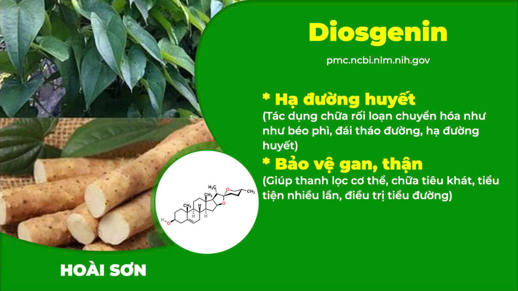 Thành phần hoá học thanh đường 