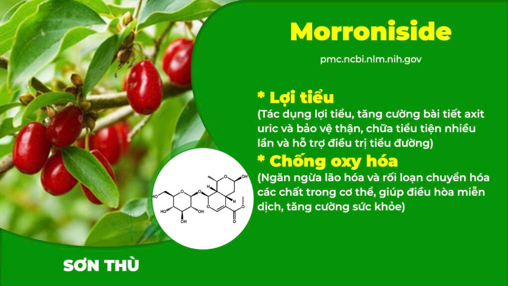 Thành phần hoá học thanh đường 