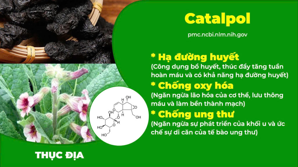 Thành phần hoá học thanh đường 