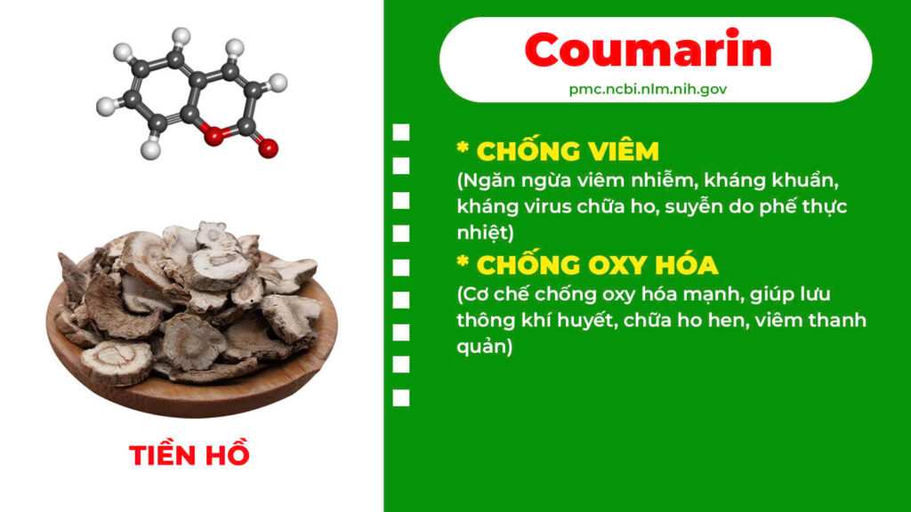 Thành phần hoá học thanh quản