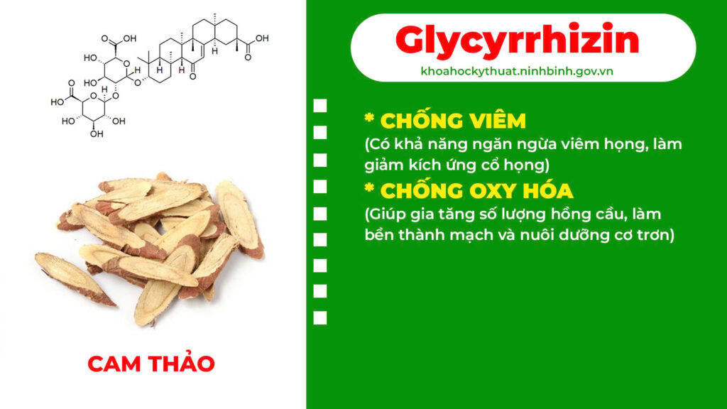 Thành phần hoá học thanh quản