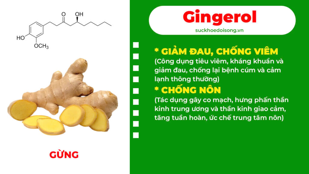 Thành phần hoá học thanh quản