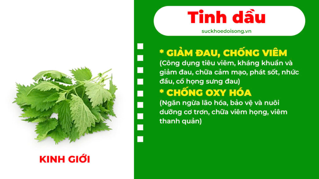 Thành phần hoá học thanh quản