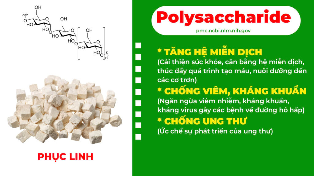 Thành phần hoá học thanh quản 6