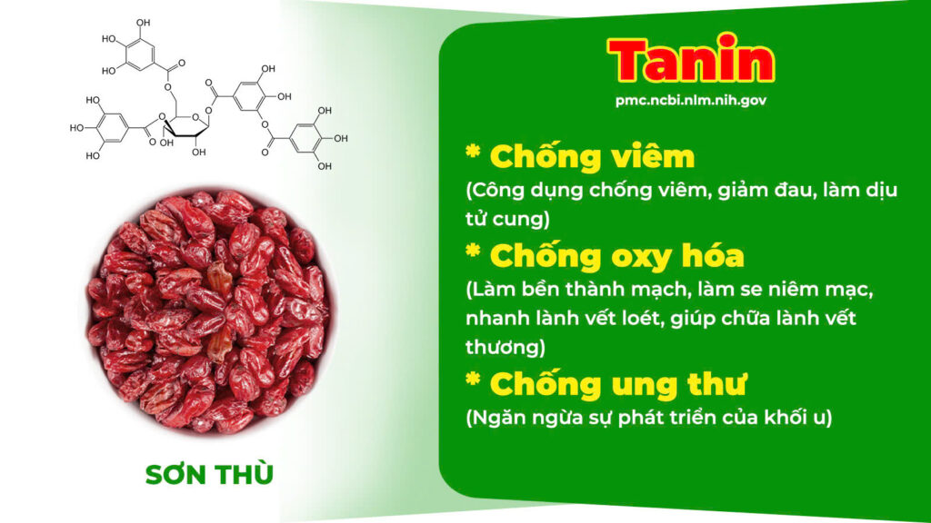 Thành phần hoá học trinh nữ hoàng cung