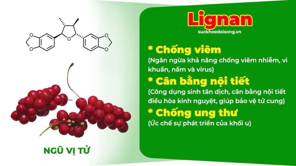 Thành phần hoá học trinh nữ hoàng cung