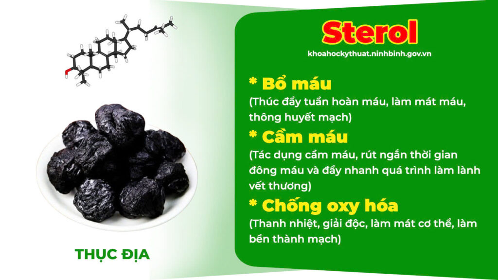 Thành phần hoá học trinh nữ hoàng cung