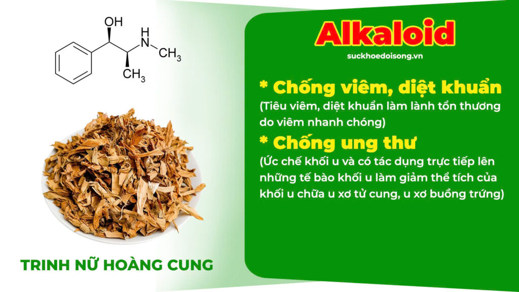 Thành phần hoá học trinh nữ hoàng cung