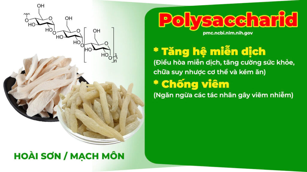 Thành phần hoá học trinh nữ hoàng cung