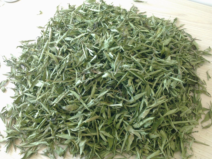 dược liệu cỏ ngọt