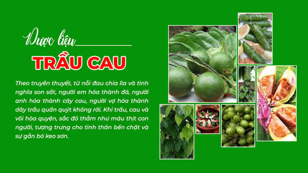 Câu chuyện dược liệu dung dịch vệ sinh