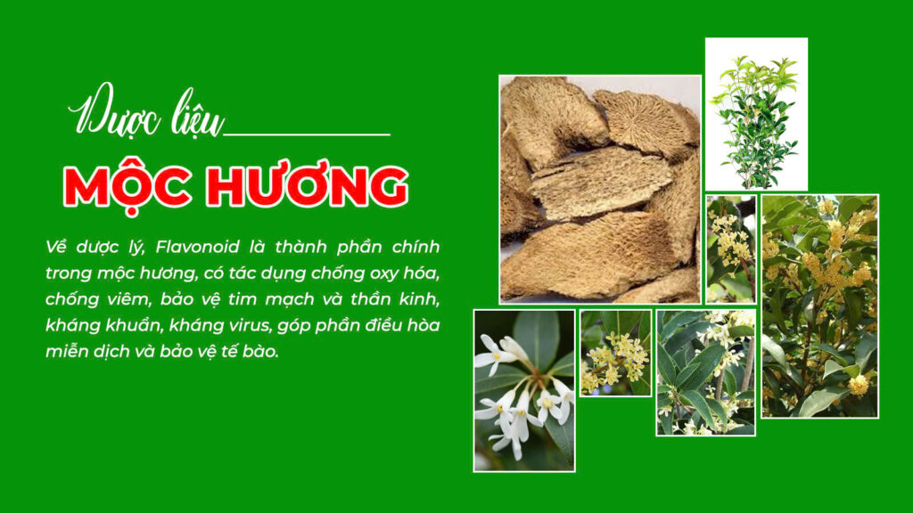Câu chuyện dưỡng tâm