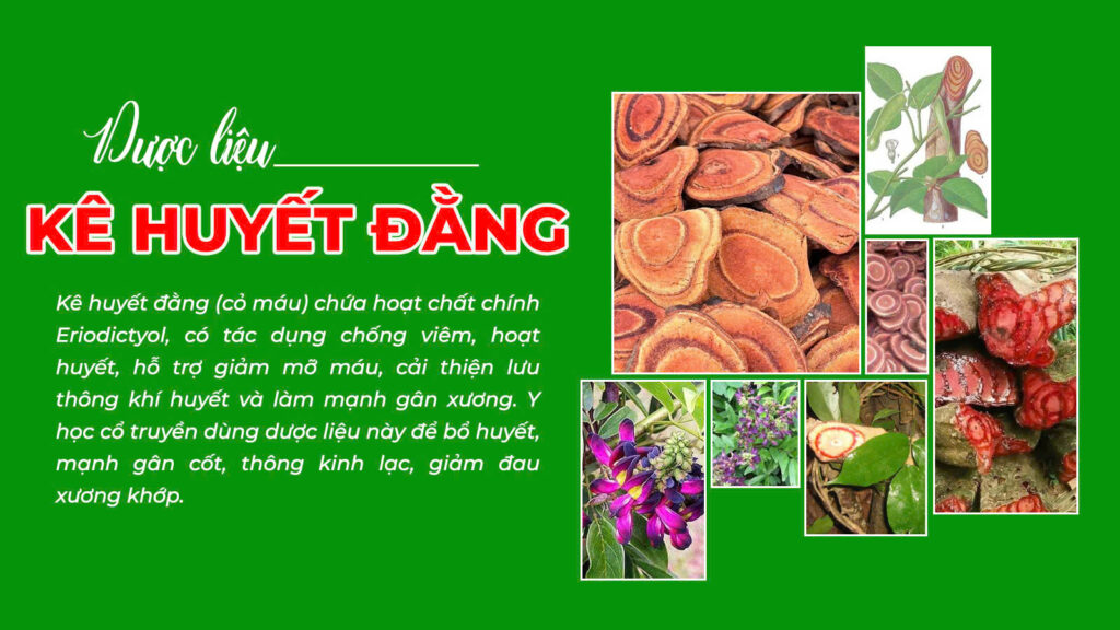 Câu chuyện kê huyết đằng