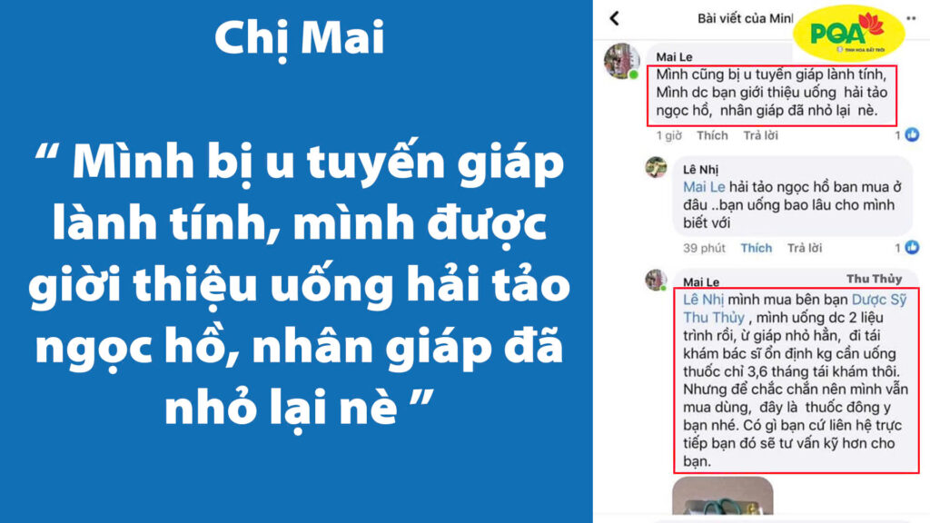 Feedback Hải tảo ngọc hồ