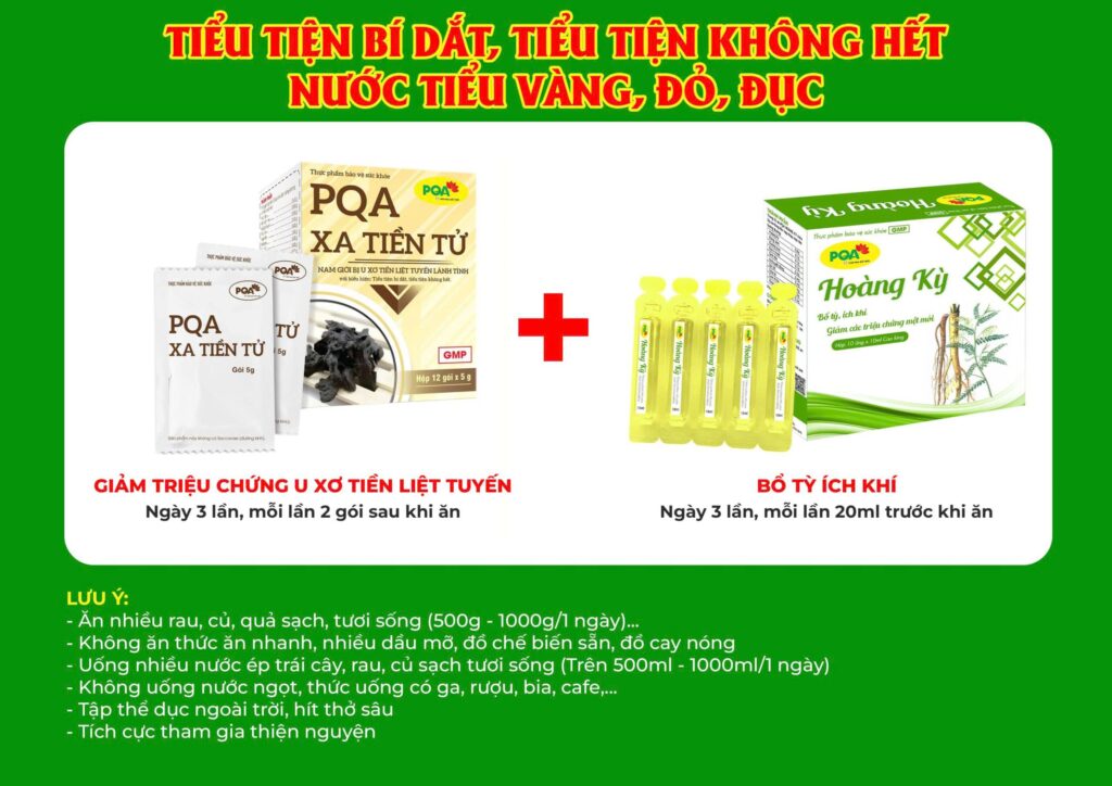 Kết hợp 2 sản phẩm xa tiền tử