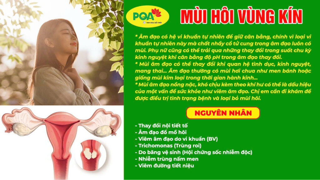 Nguyên nhân gây nên mũi hôi vùng kín