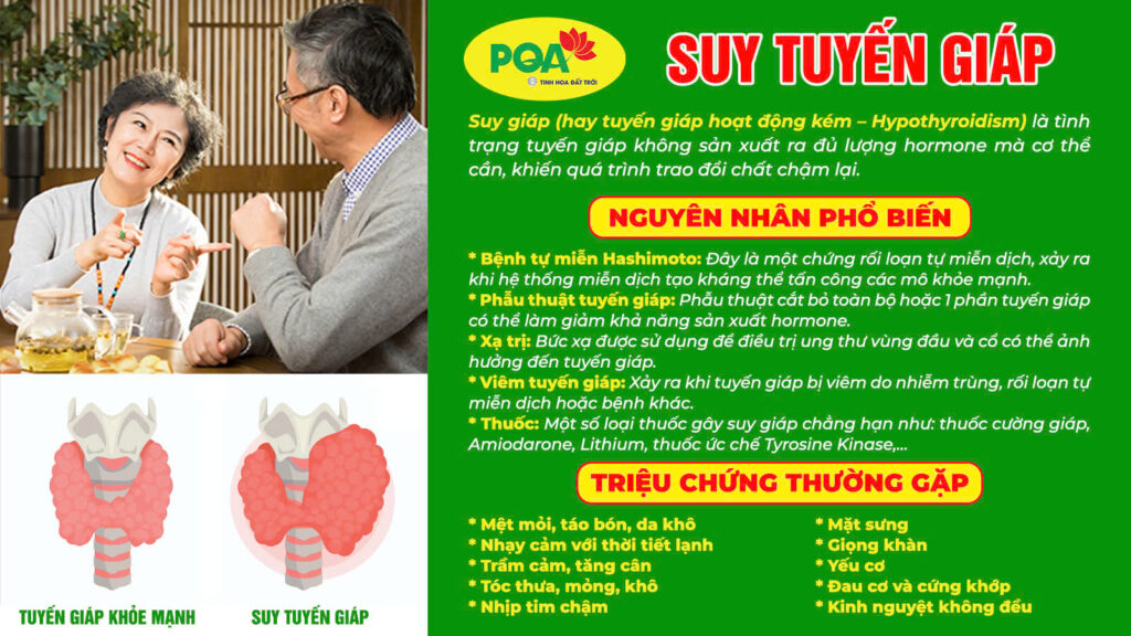 Nguyên nhân triệu chứng Hải tảo ngọc hồ