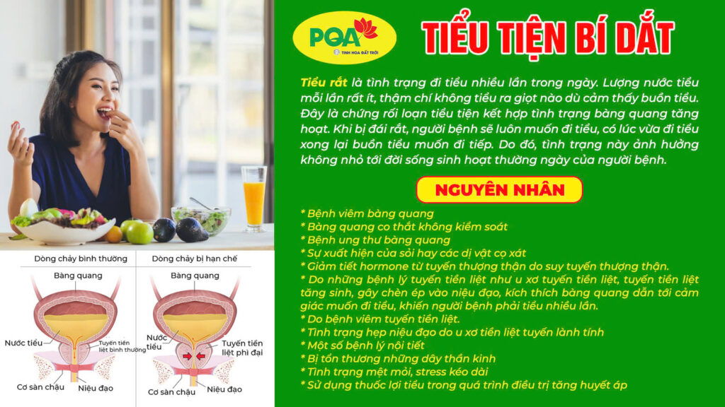 Nguyên nhân triệu chứng xa tiền tử
