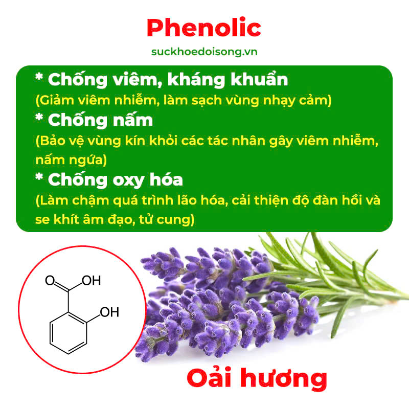 Thành phần hoá học dung dịch vệ sinh 