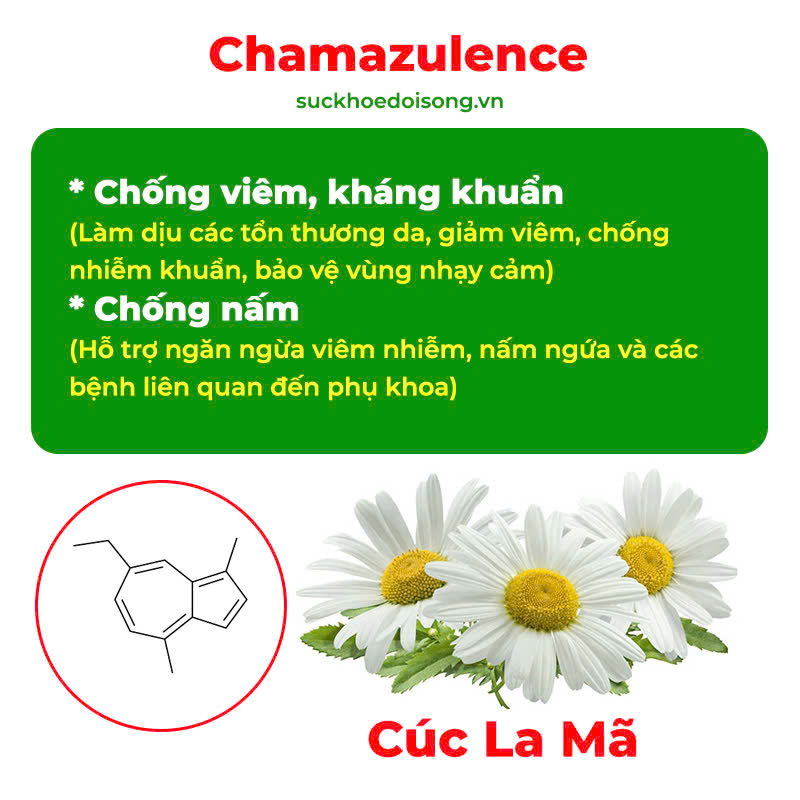 Thành phần hoá học dung dịch vệ sinh 